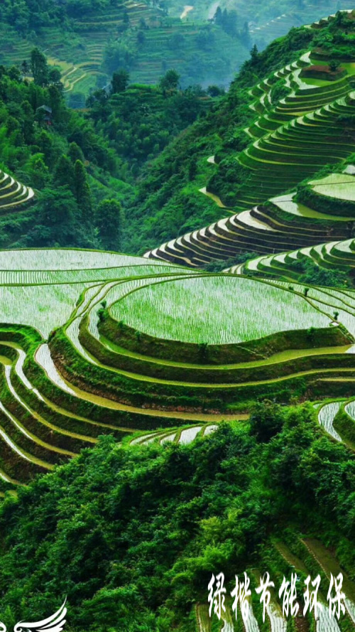 生態(tài)和環(huán)境規(guī)劃、可行性研究報告