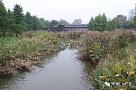 湖南綠楷節(jié)能環(huán)?？萍加邢薰?湖南土壤污染修復(fù),污水處理工程,農(nóng)業(yè)污染治理,環(huán)保工程